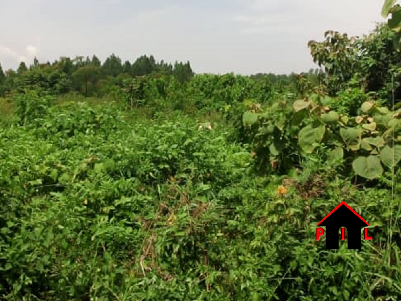 Agricultural Land for sale in Busabaga Buyikwe