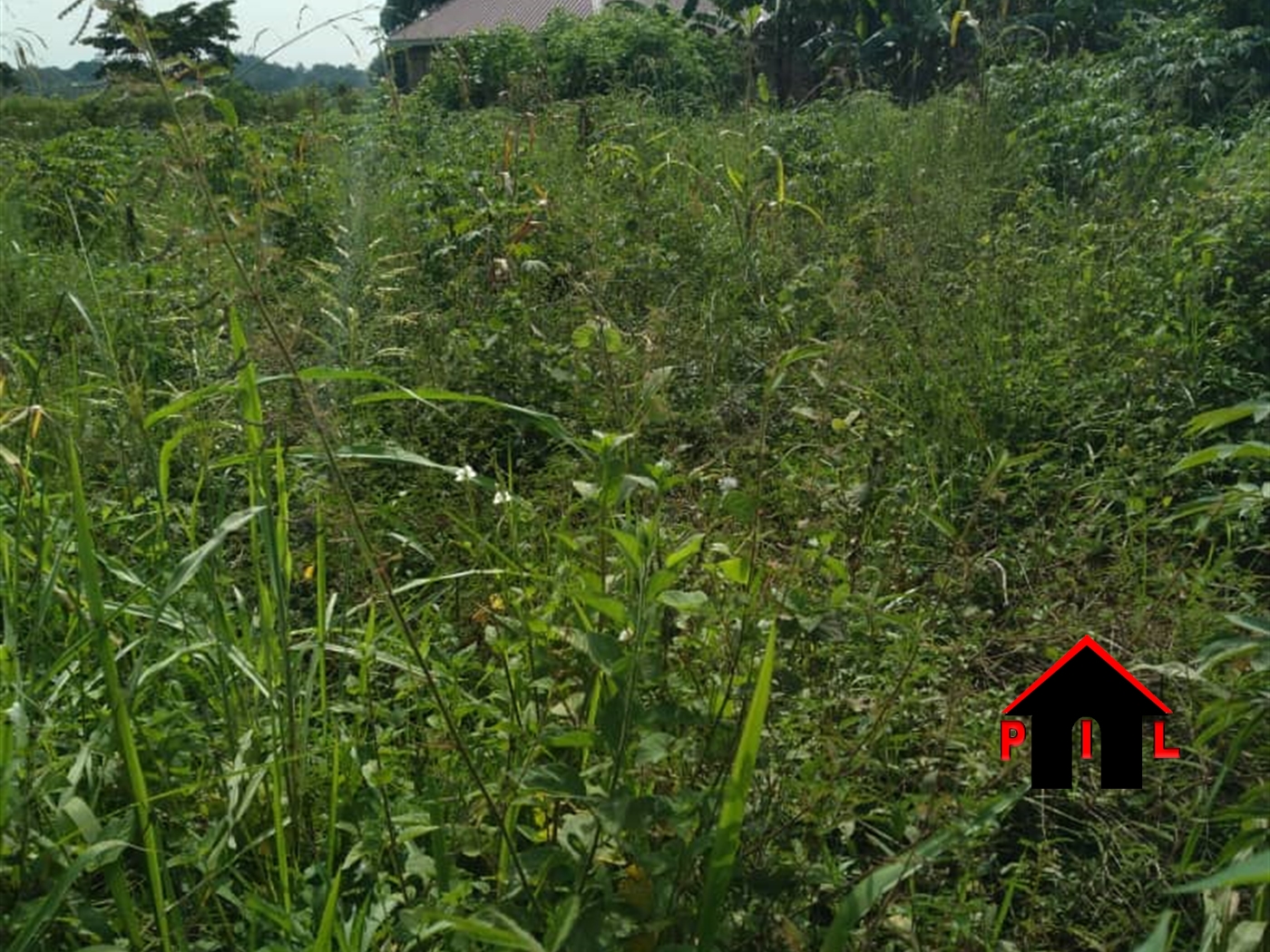 Agricultural Land for sale in Bukunja Buyikwe