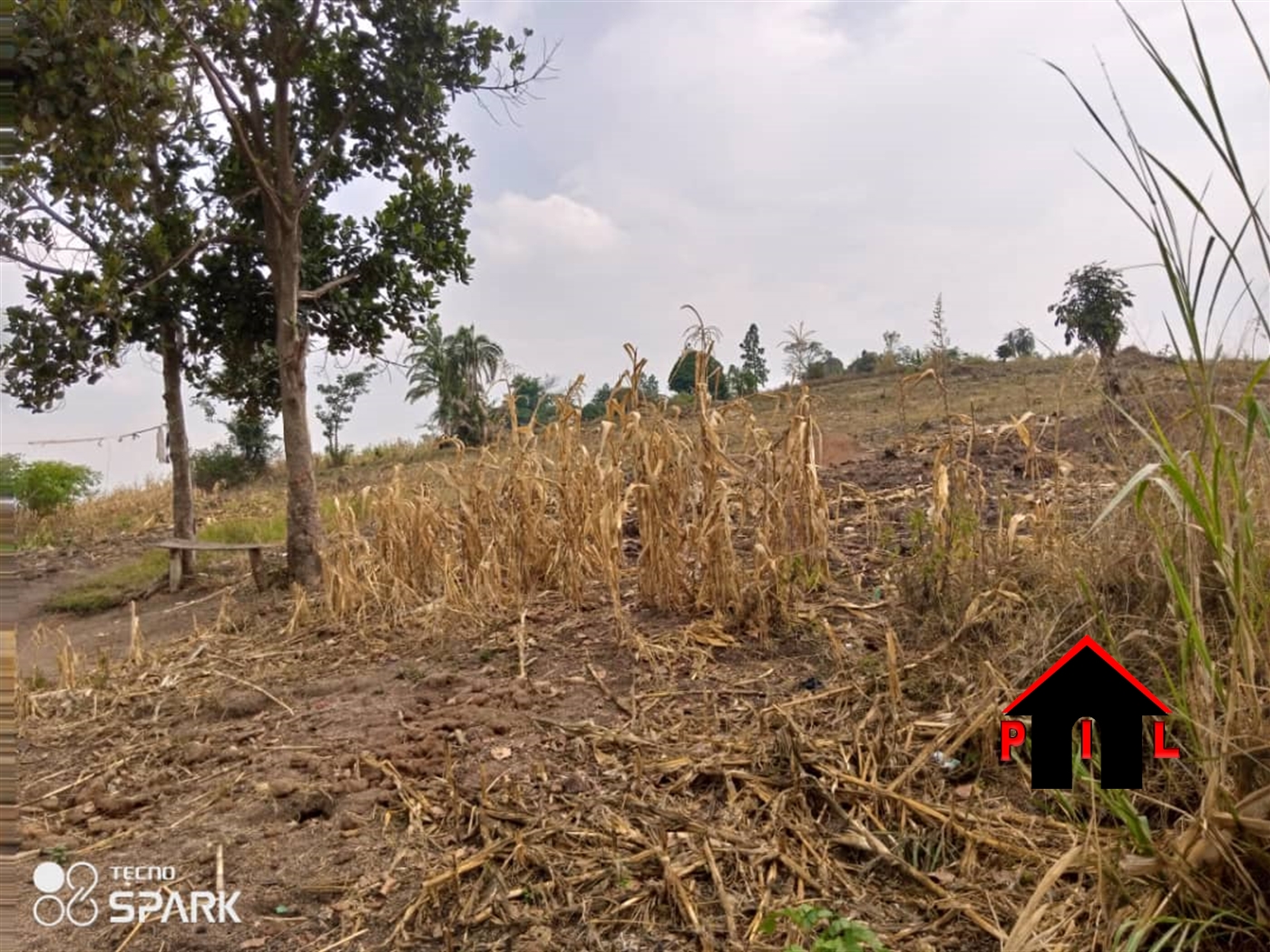 Agricultural Land for sale in Kisowela Mukono