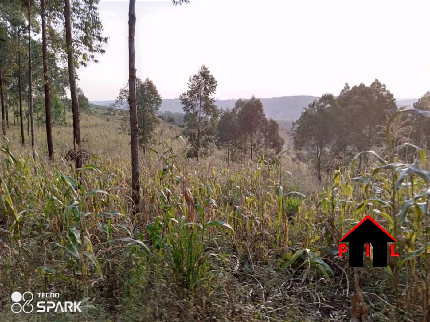 Agricultural Land for sale in Nabuti Mukono