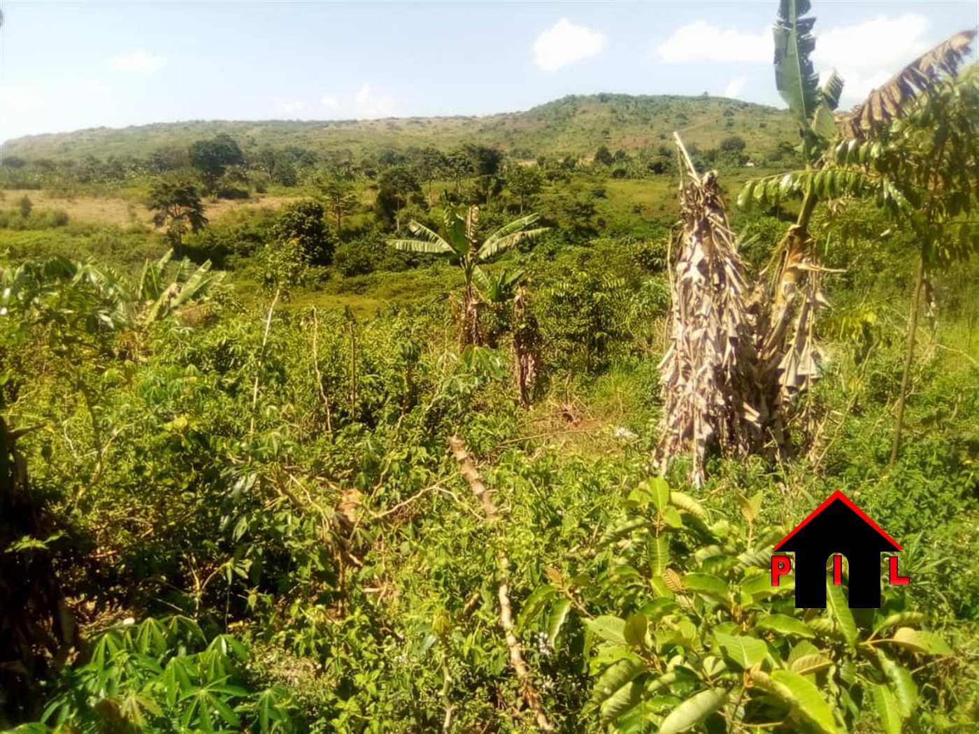 Agricultural Land for sale in Gulama Mukono