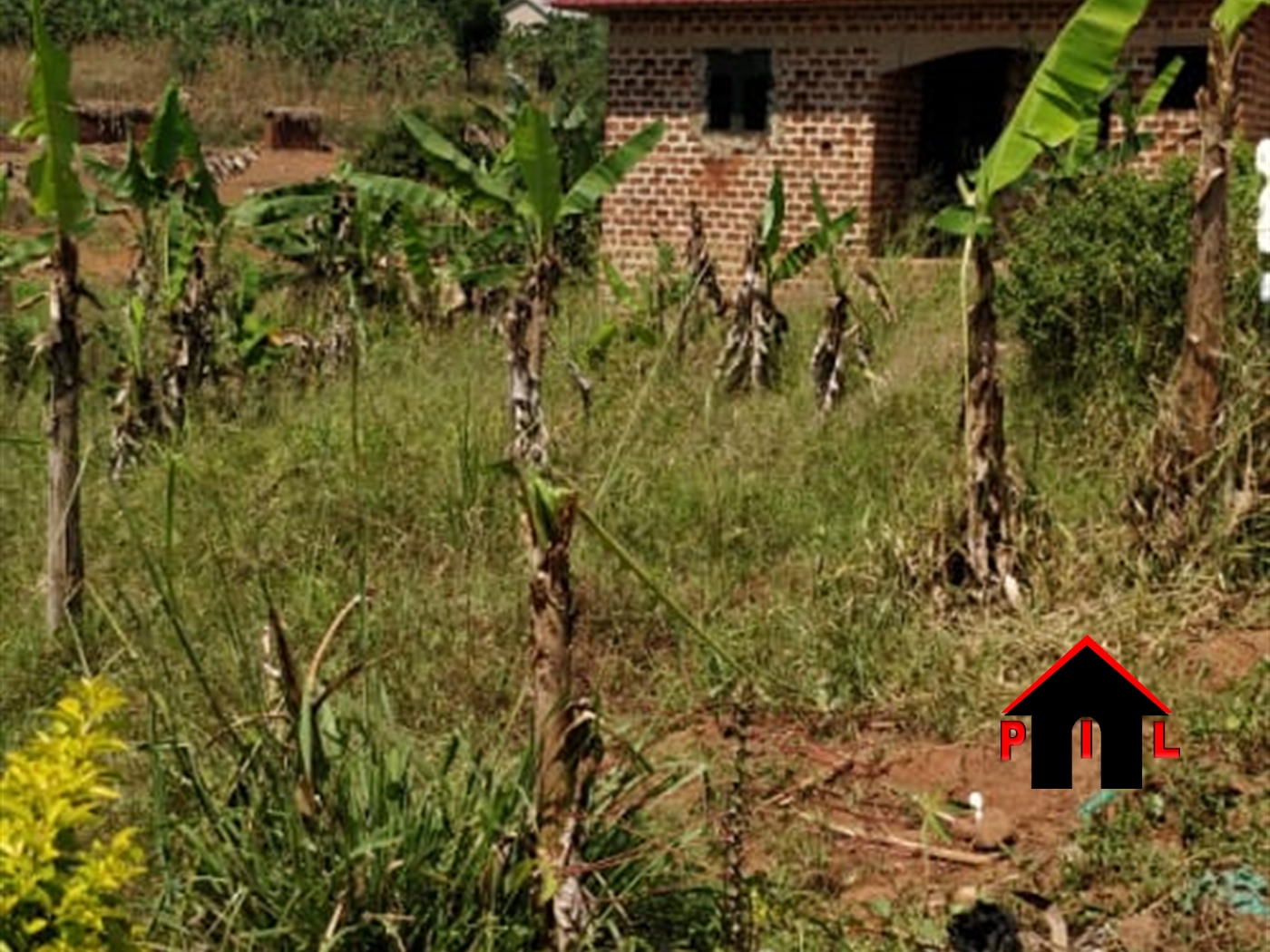 Residential Land for sale in Nasuuti Mukono