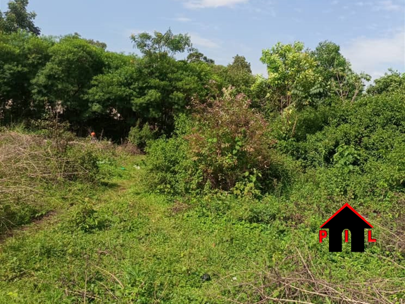 Agricultural Land for sale in Nakabulu Luweero