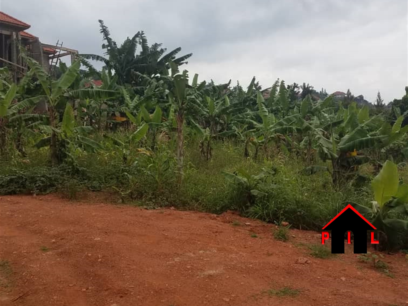 Agricultural Land for sale in Masunkwe Luweero