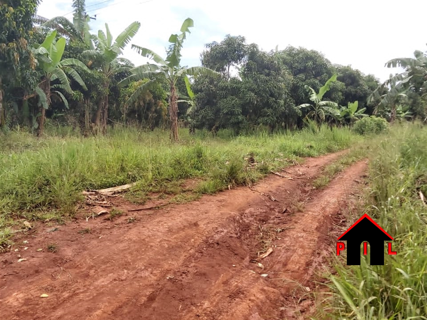 Agricultural Land for sale in Kisubi Luweero