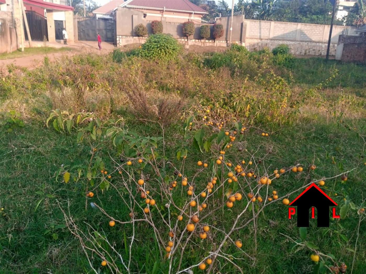 Residential Land for sale in Kiwenda Wakiso