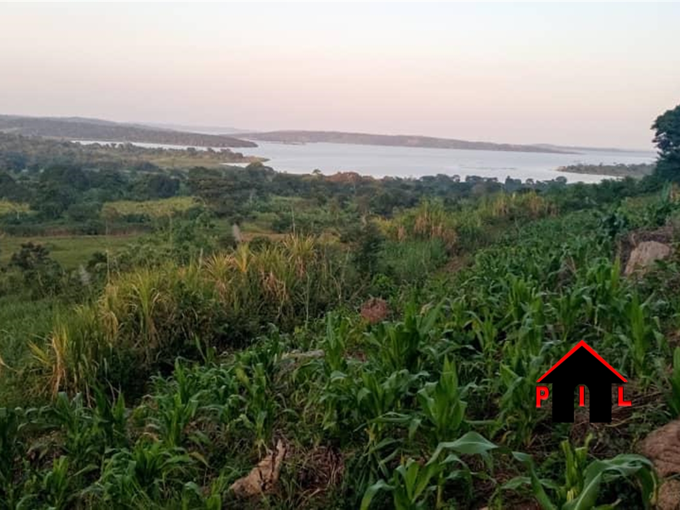 Agricultural Land for sale in Nabyewanga Masaka