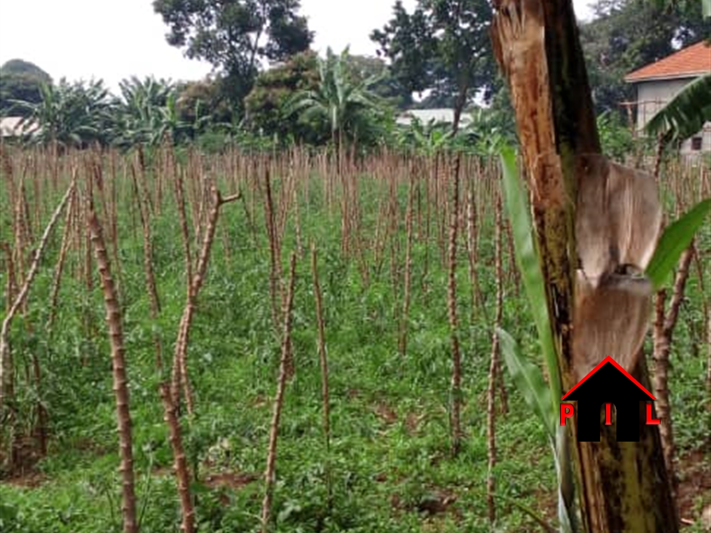 Residential Land for sale in Kabumba Wakiso