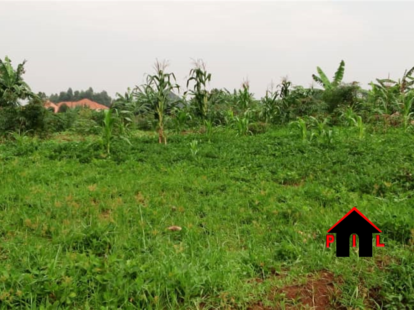 Residential Land for sale in Kabumba Wakiso