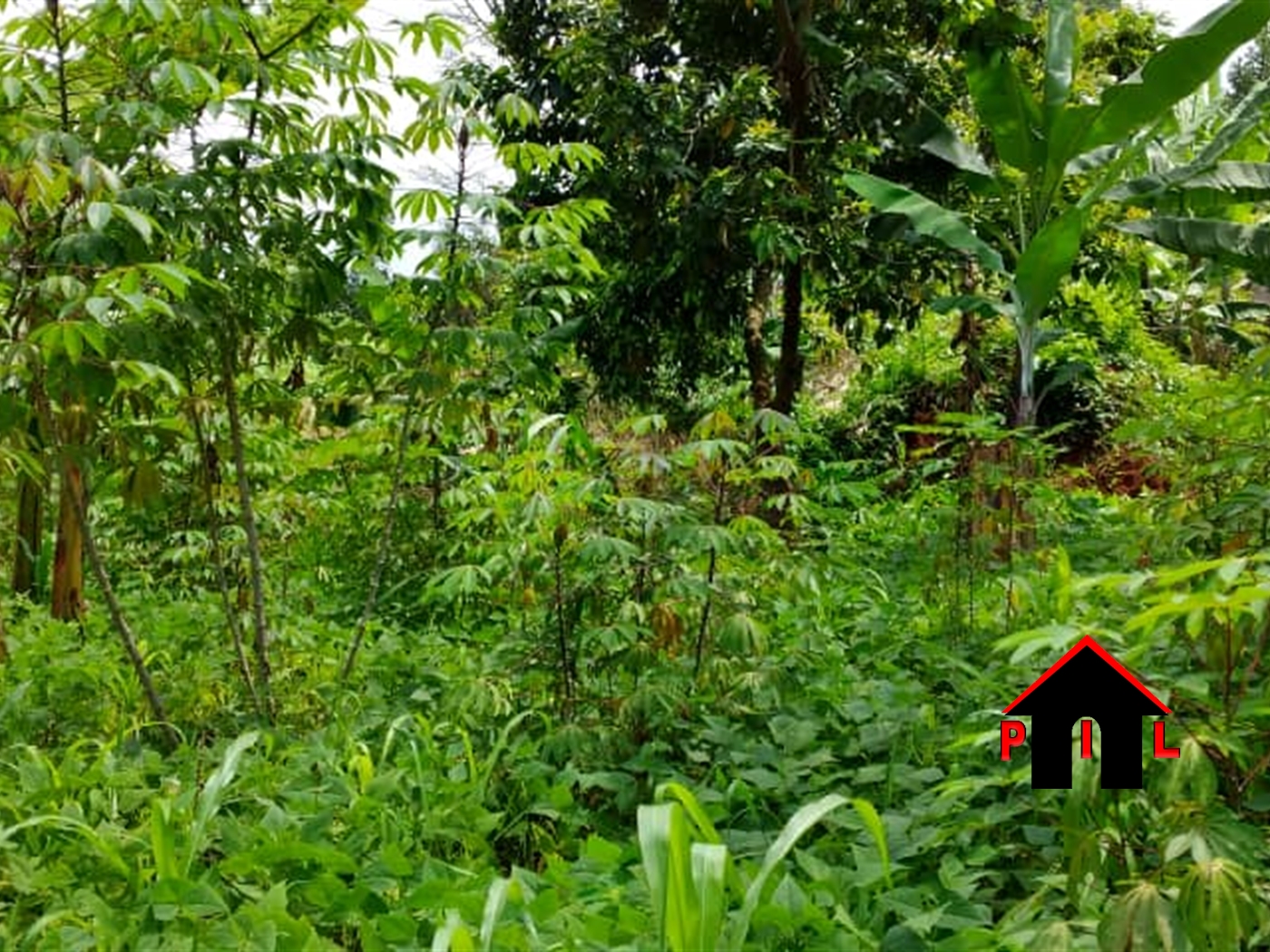Agricultural Land for sale in Wakivule Luweero