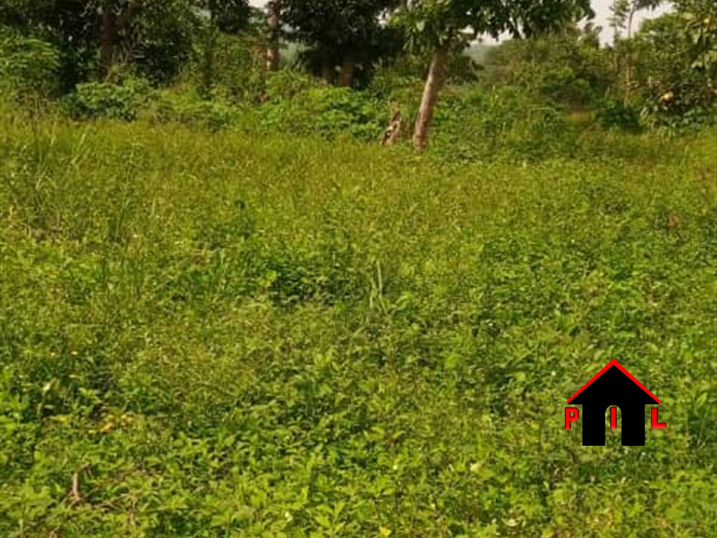 Agricultural Land for sale in Kiryandongo Masaka