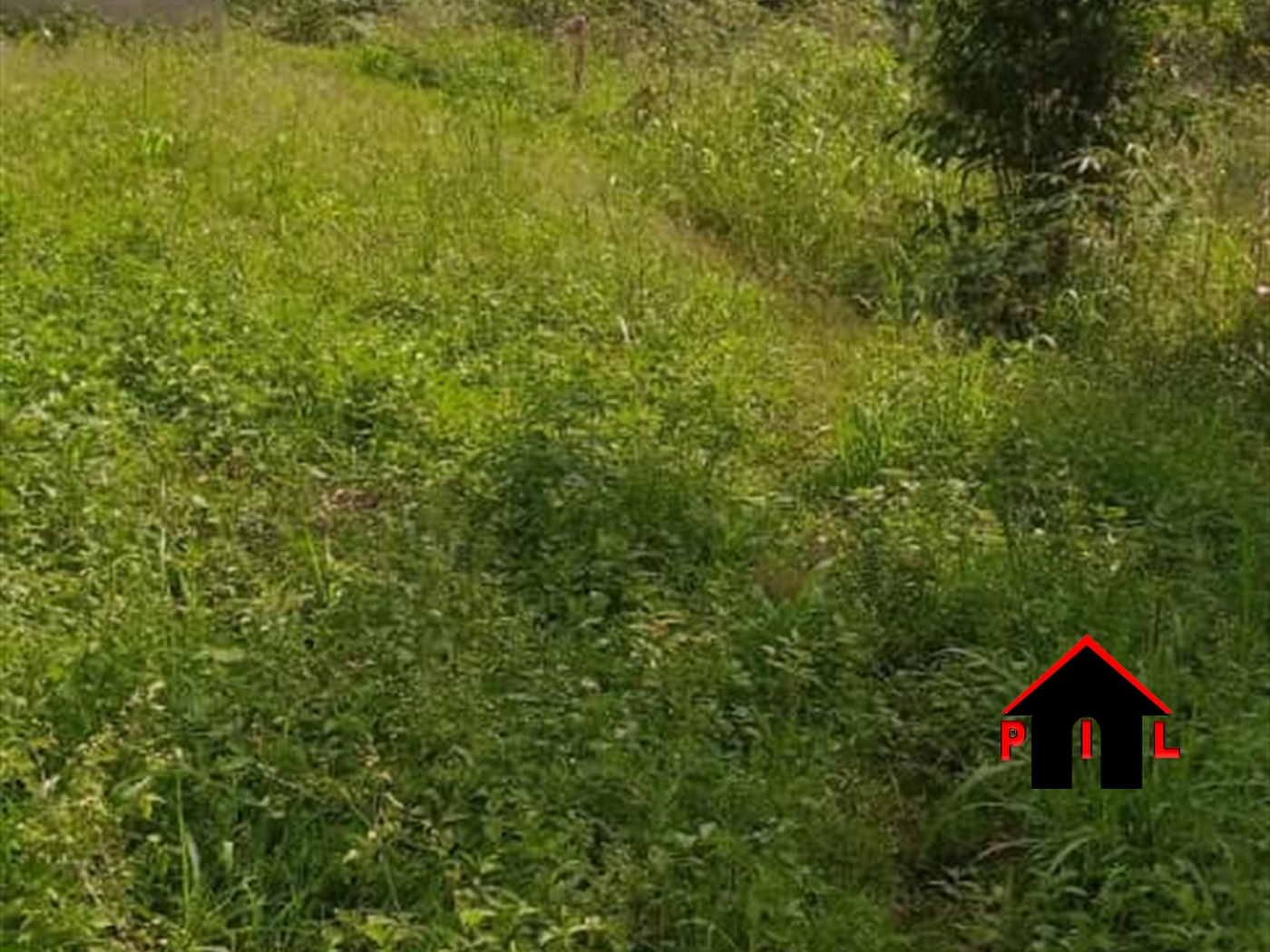 Agricultural Land for sale in Kiryandongo Masaka