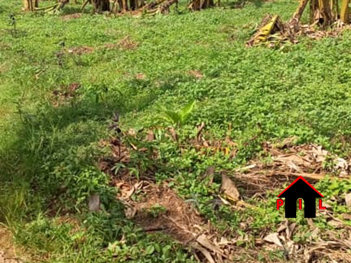 Agricultural Land for sale in Bukeelele Wakiso