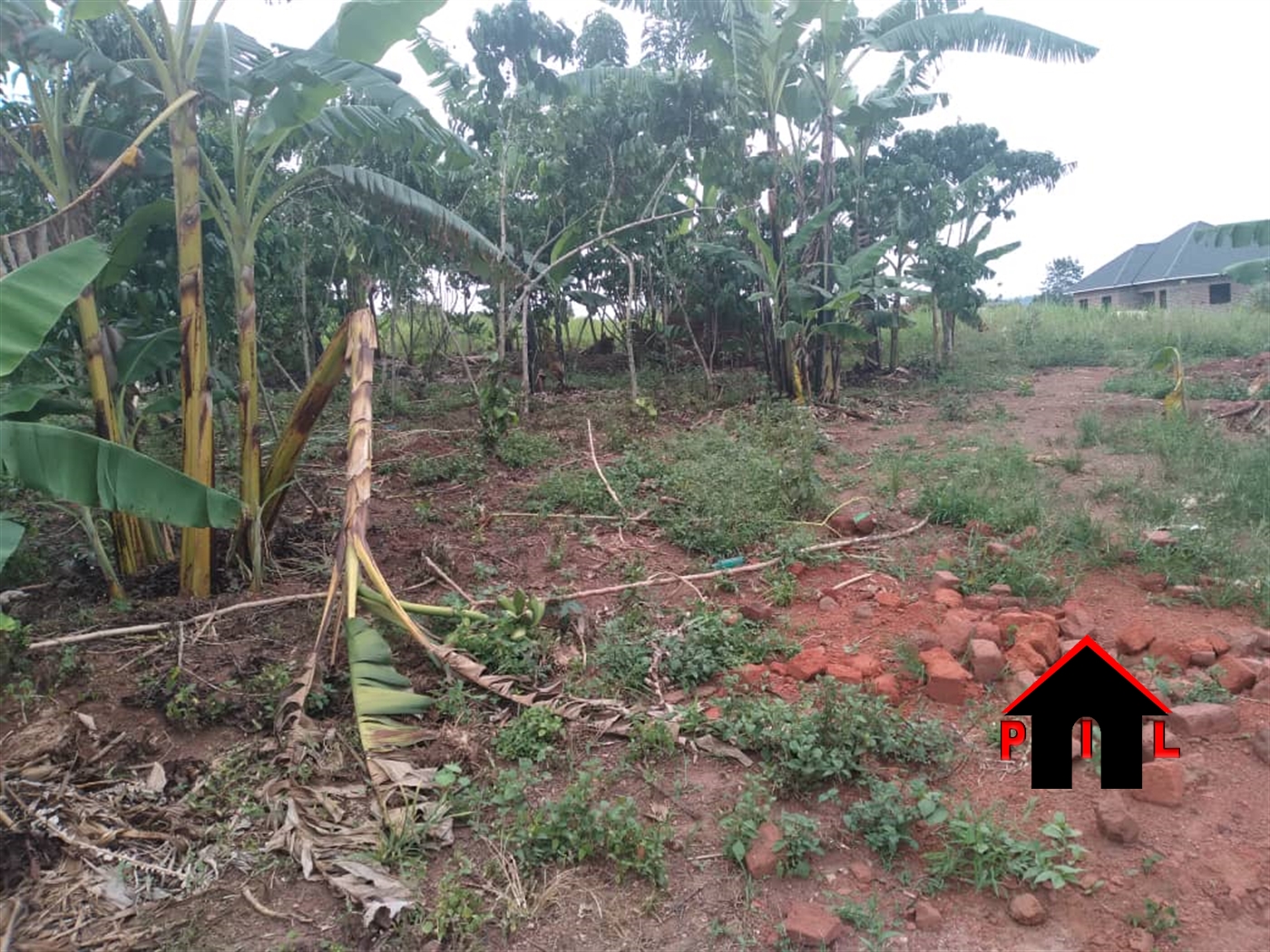 Residential Land for sale in Namulonge Wakiso