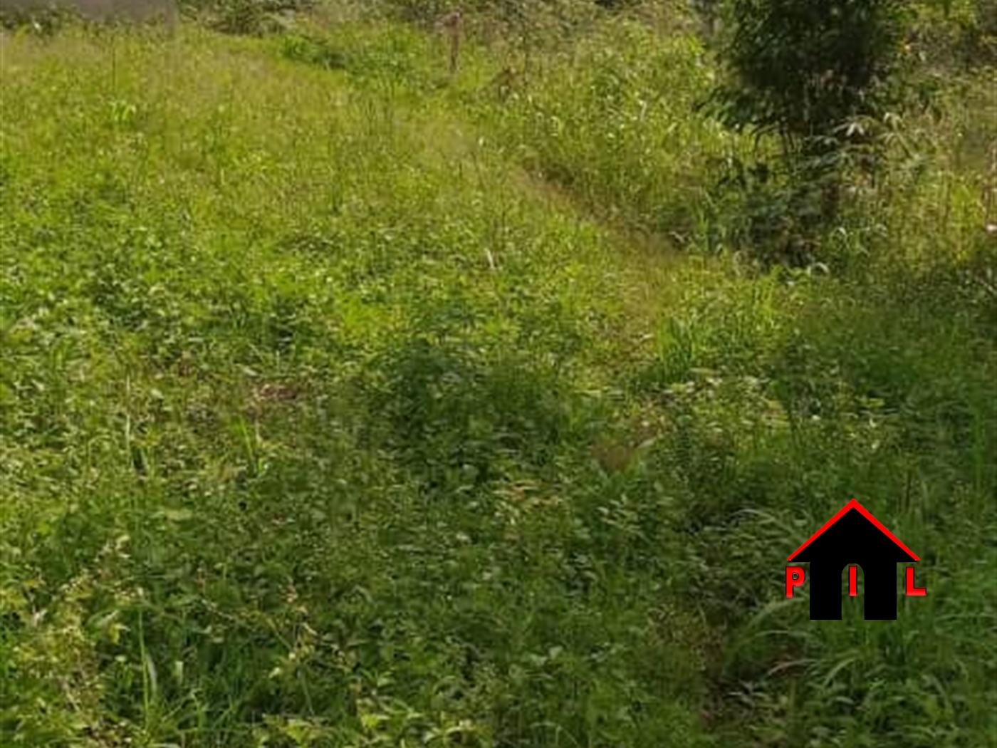 Agricultural Land for sale in Kitti Masaka