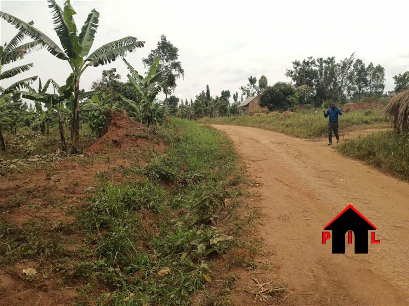 Agricultural Land for sale in Kisoga Mukono