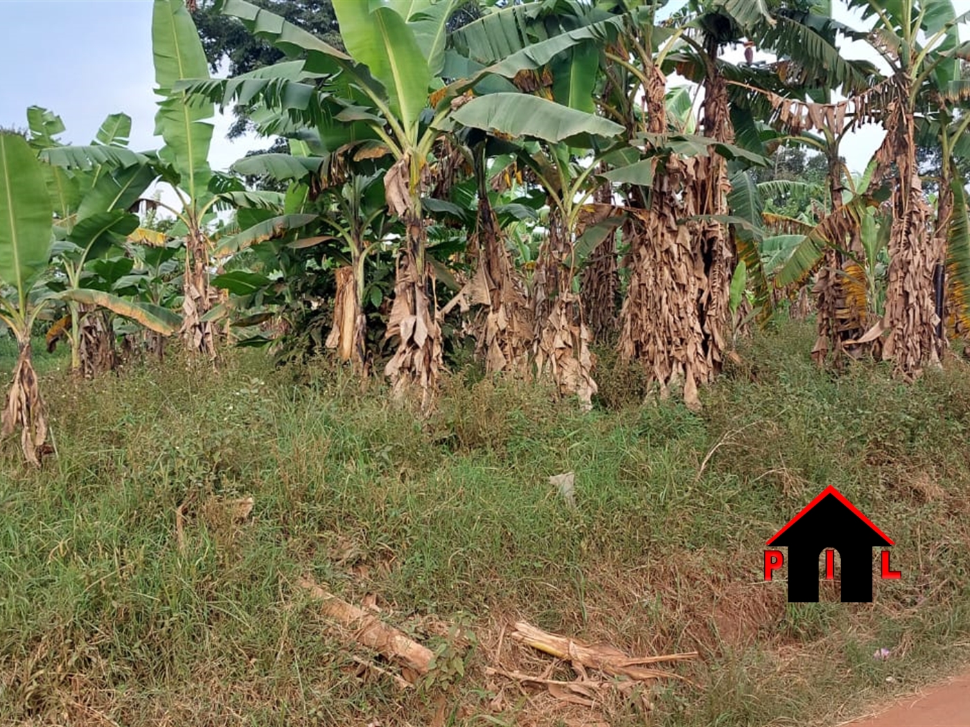 Agricultural Land for sale in Katosi Mukono