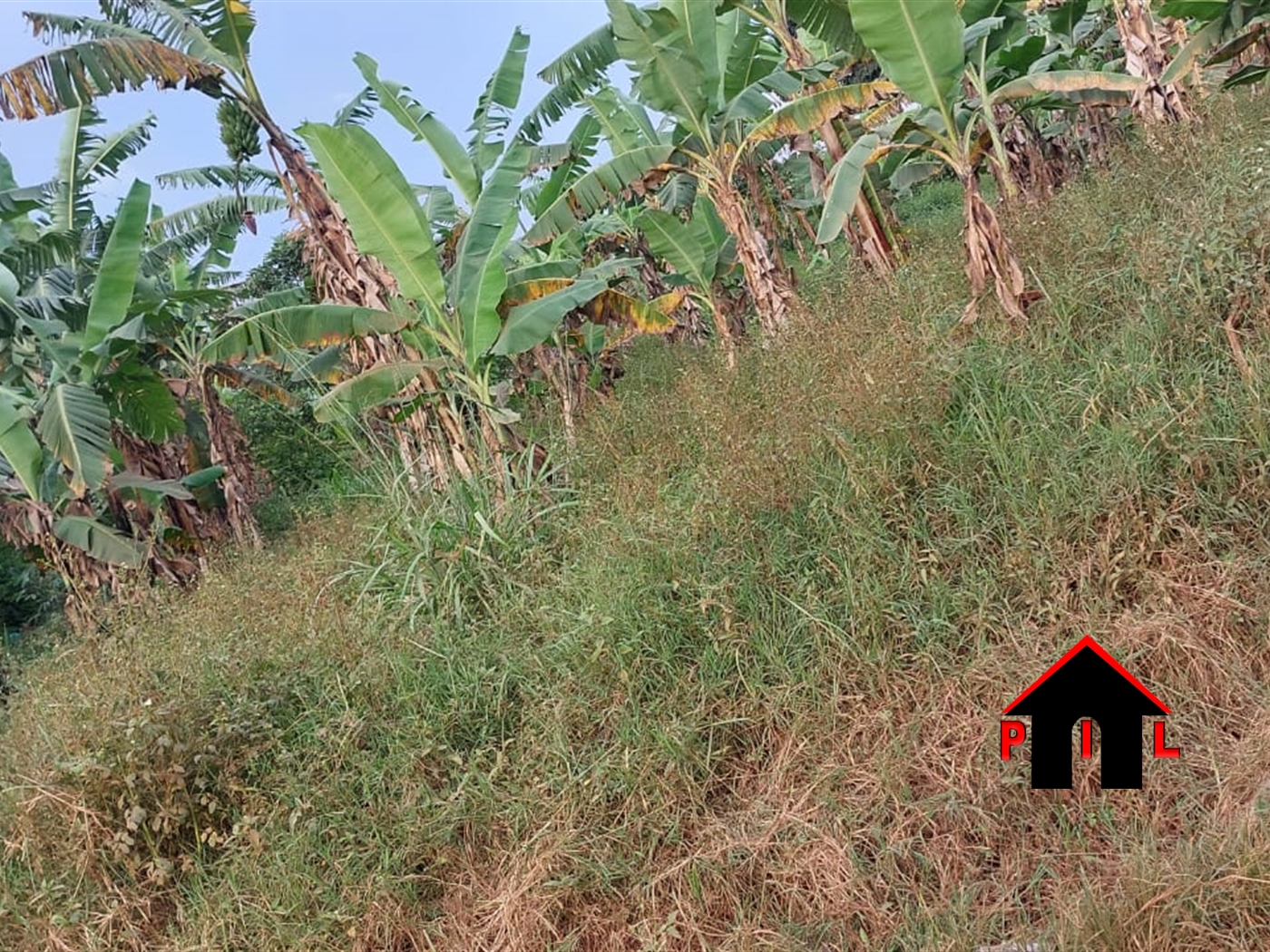 Agricultural Land for sale in Katosi Mukono