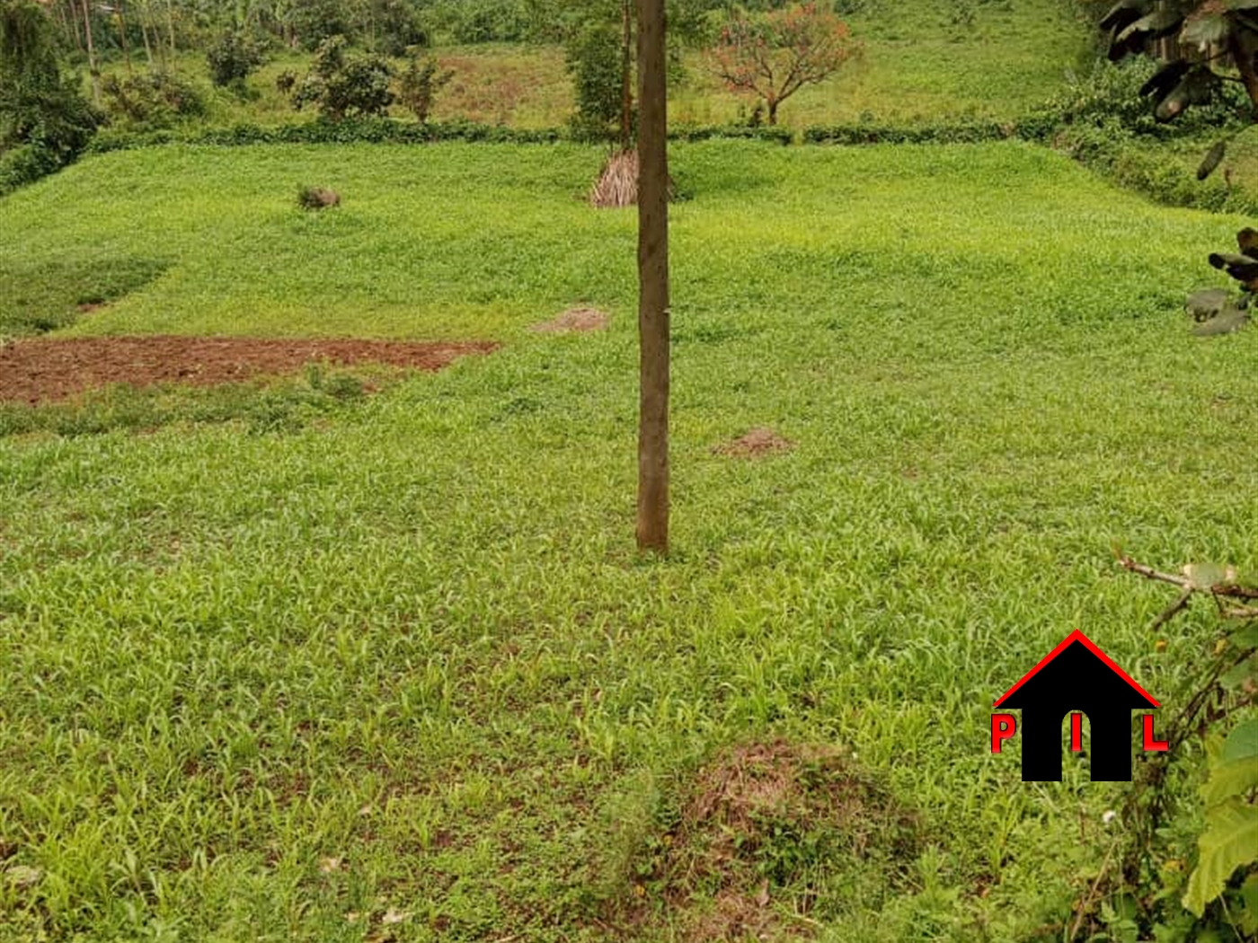 Agricultural Land for sale in Bubaale Kabaale
