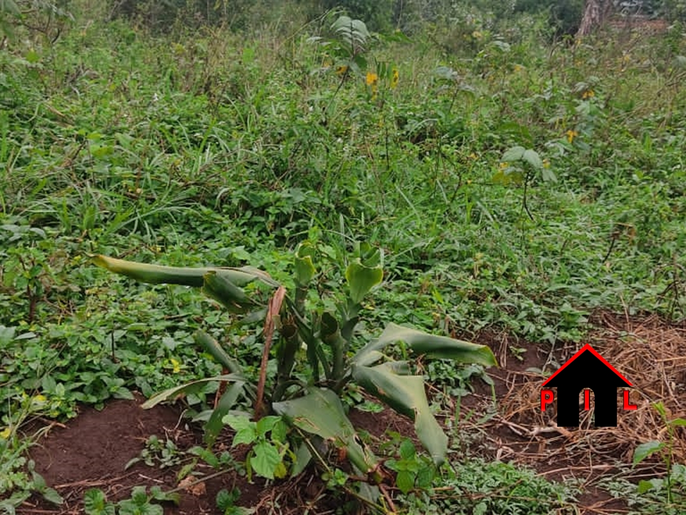 Residential Land for sale in Kitukutwe Wakiso