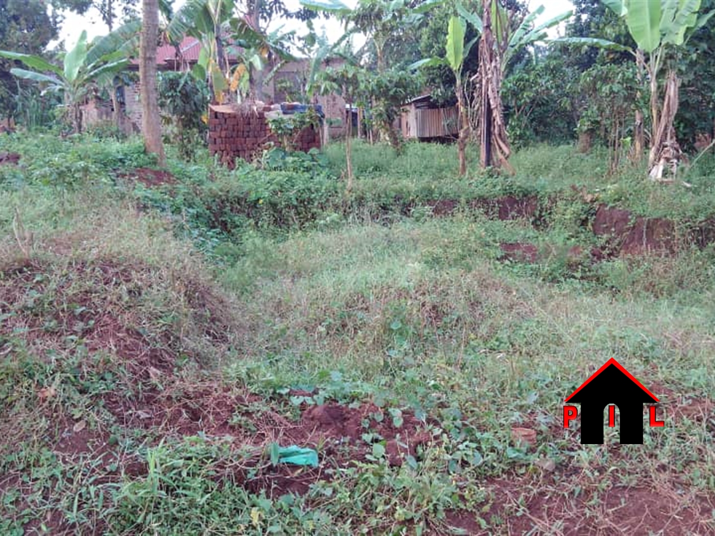 Agricultural Land for sale in Kabembe Luweero