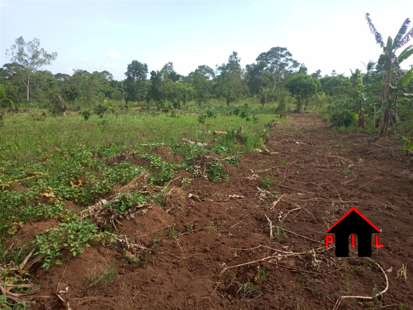 Agricultural Land for sale in Kabembe Luweero