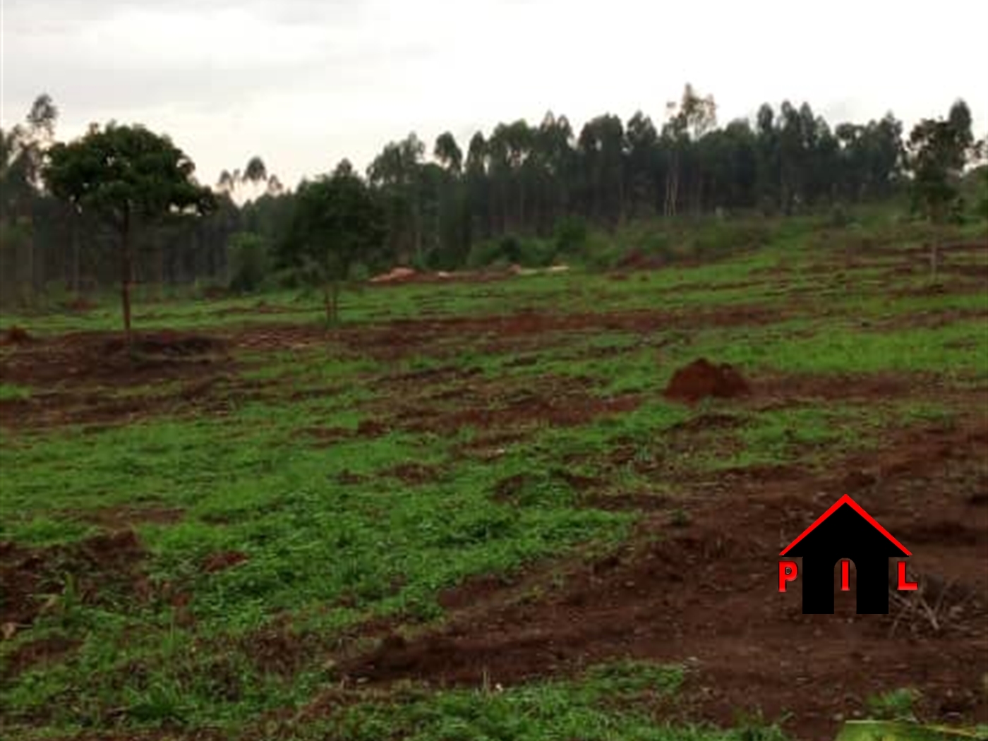 Agricultural Land for sale in Kibibi Butambala