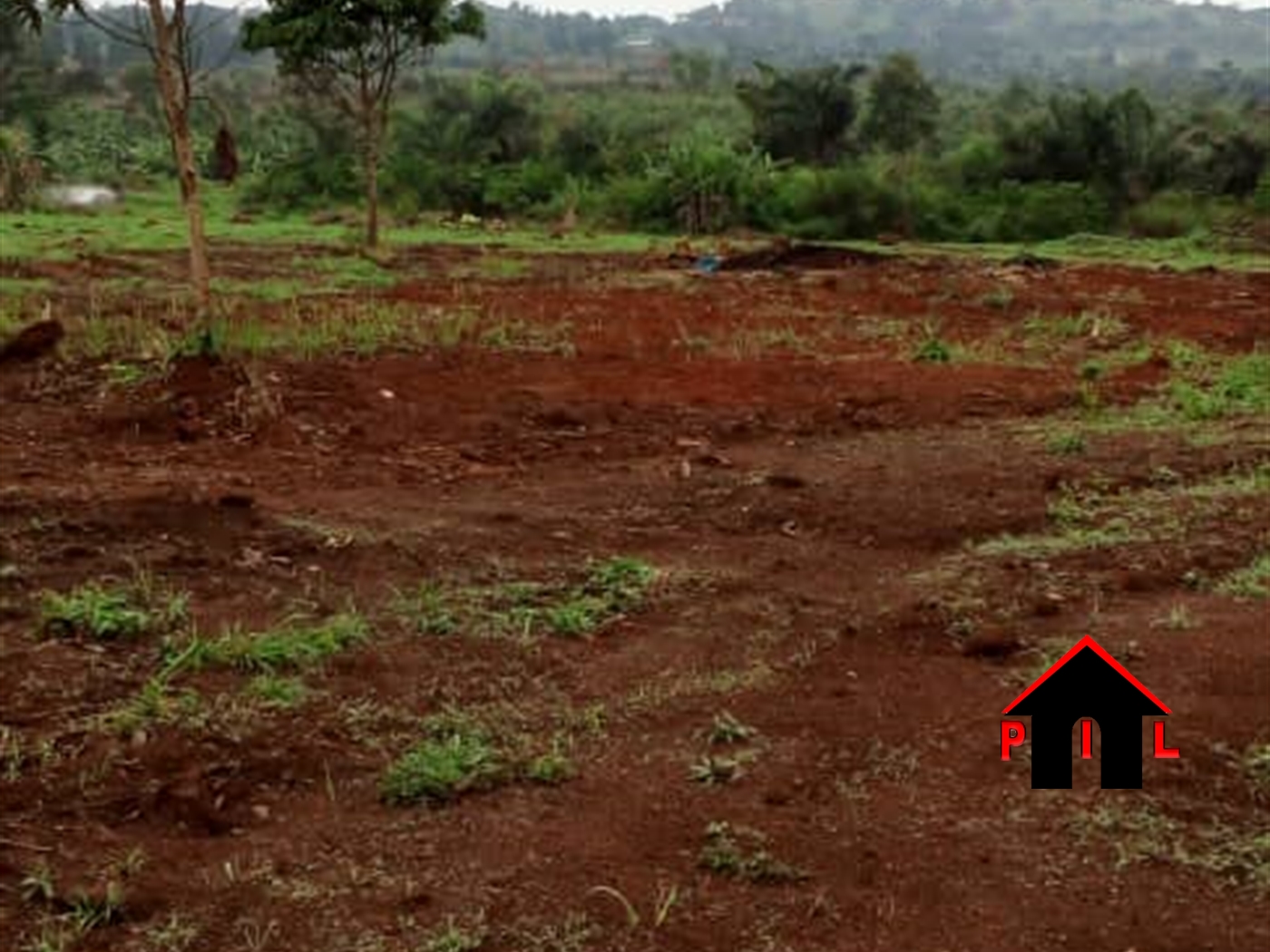 Agricultural Land for sale in Kibibi Butambala
