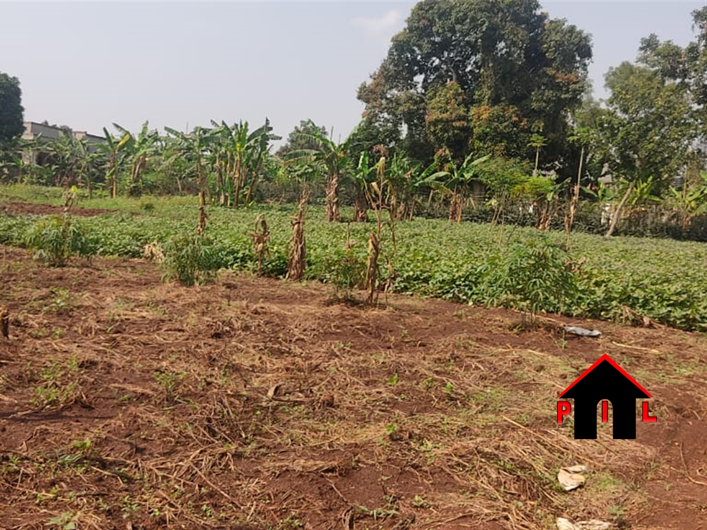 Residential Land for sale in Kiwenda Wakiso