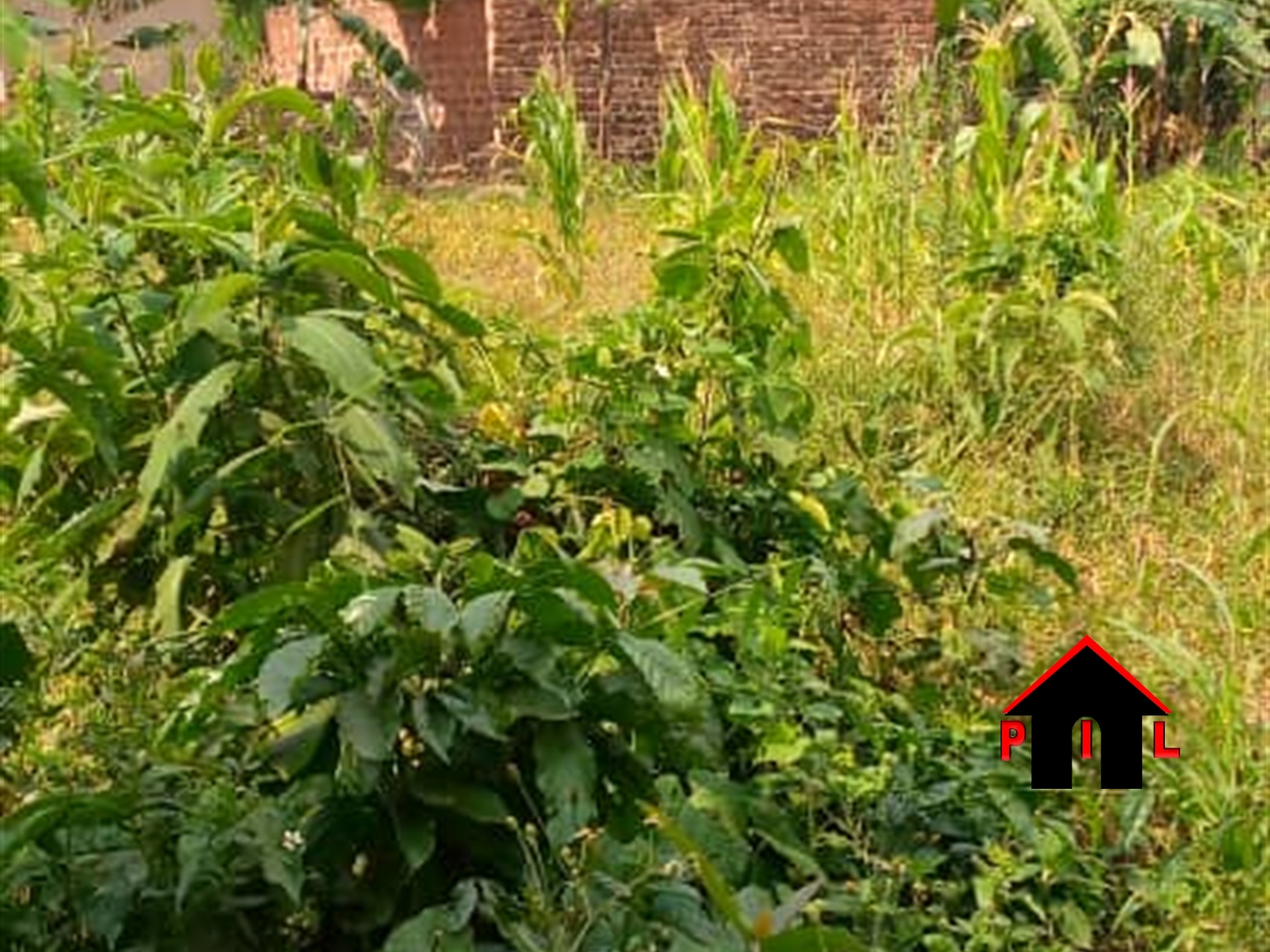 Residential Land for sale in Namugongo Wakiso