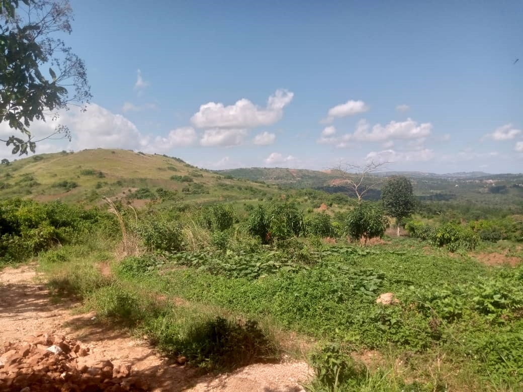 Agricultural Land for sale in Bukwiri Kiboga