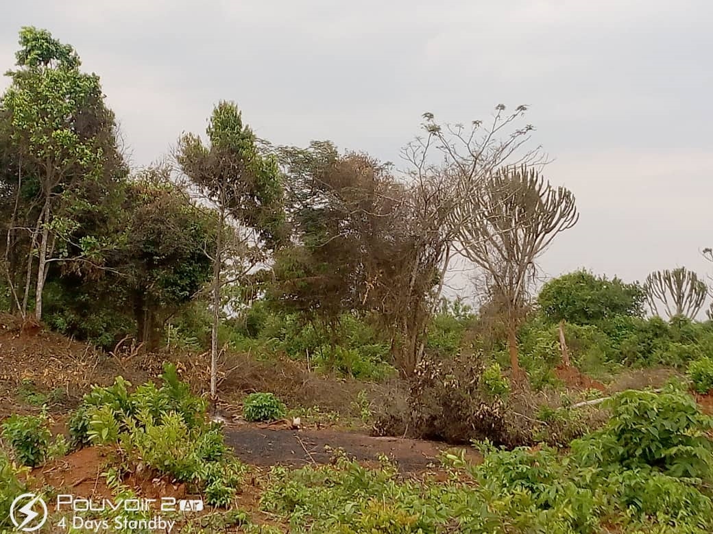 Agricultural Land for sale in Bukwiri Kiboga
