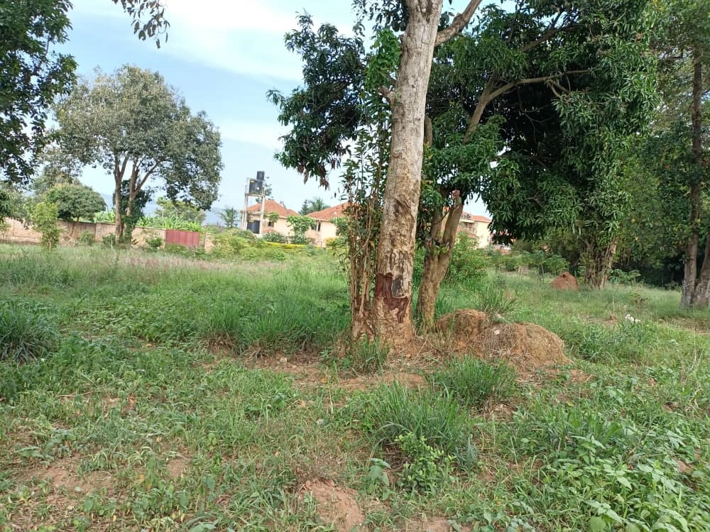 Residential Land for sale in Bwebajja Wakiso