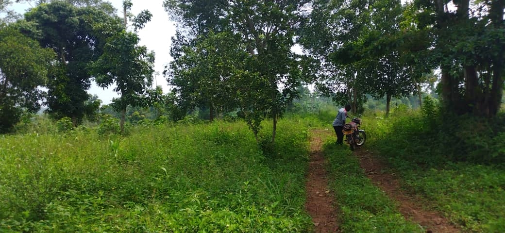 Agricultural Land for sale in Kabembe Wakiso