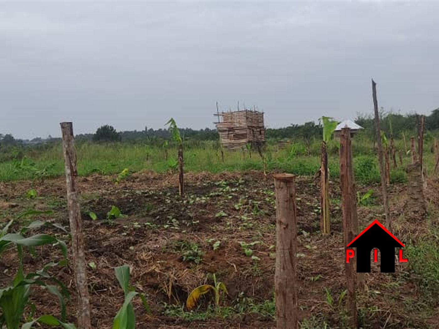 Agricultural Land for sale in Bombo Wakiso