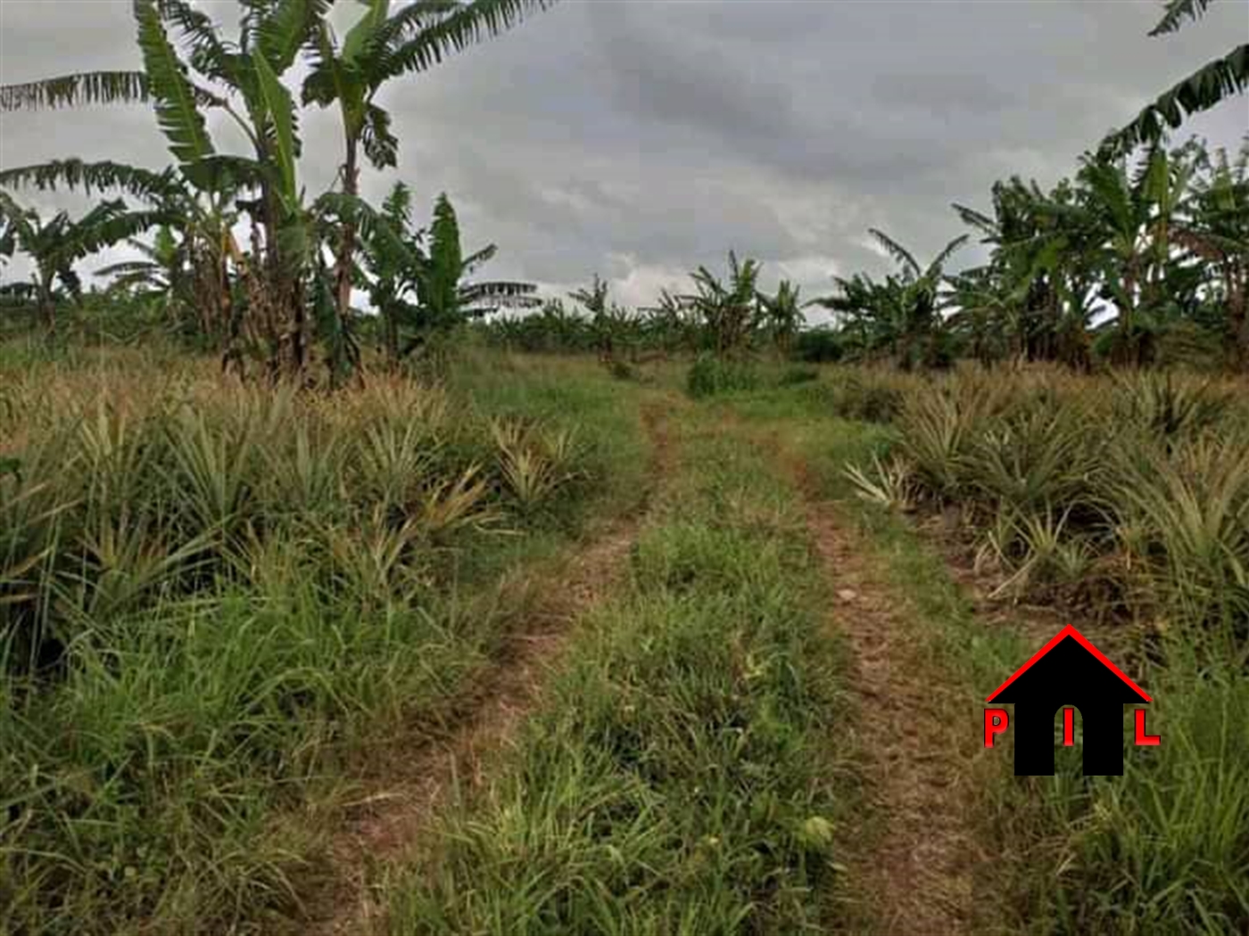 Agricultural Land for sale in Kikyuusa Luweero