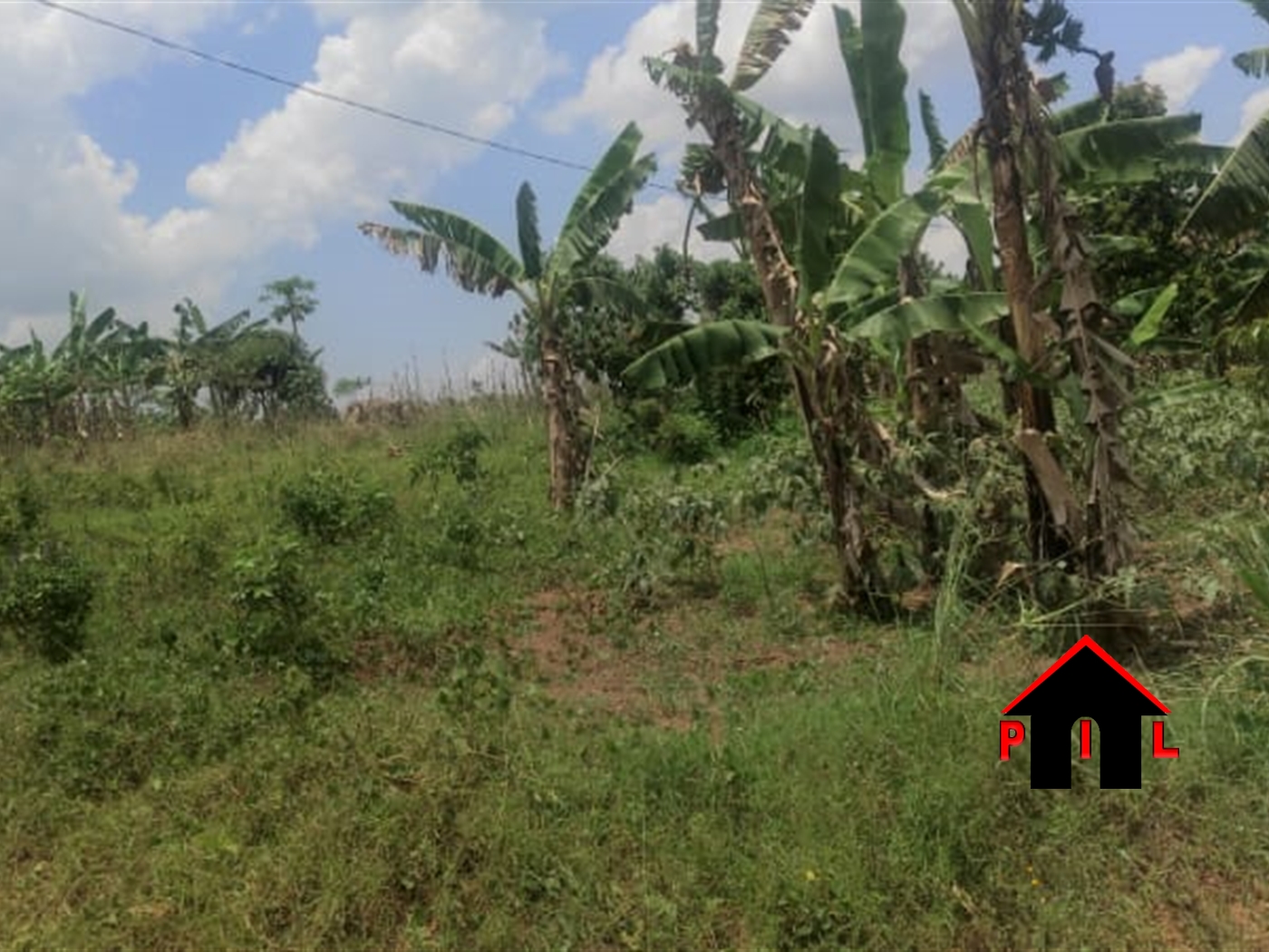 Agricultural Land for sale in Mende Wakiso