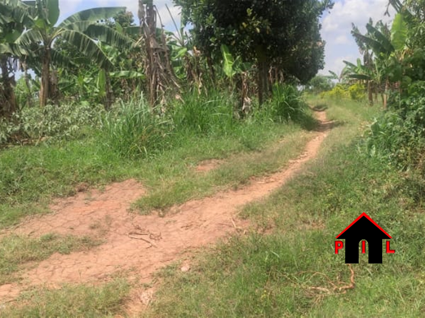 Agricultural Land for sale in Mende Wakiso