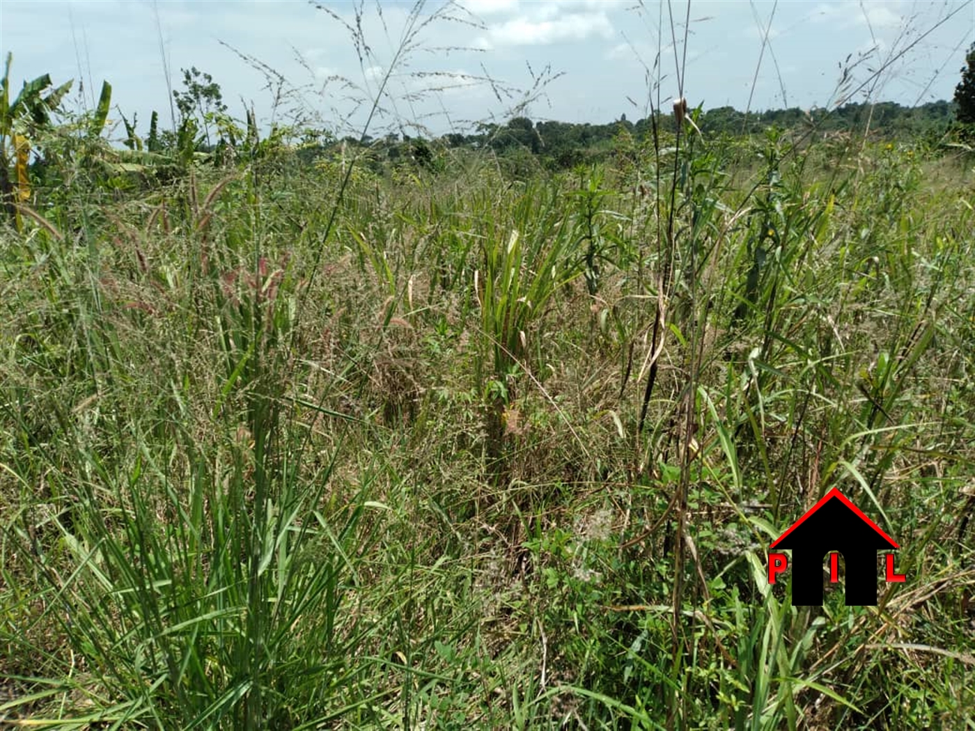 Agricultural Land for sale in Ziloobwe Luweero