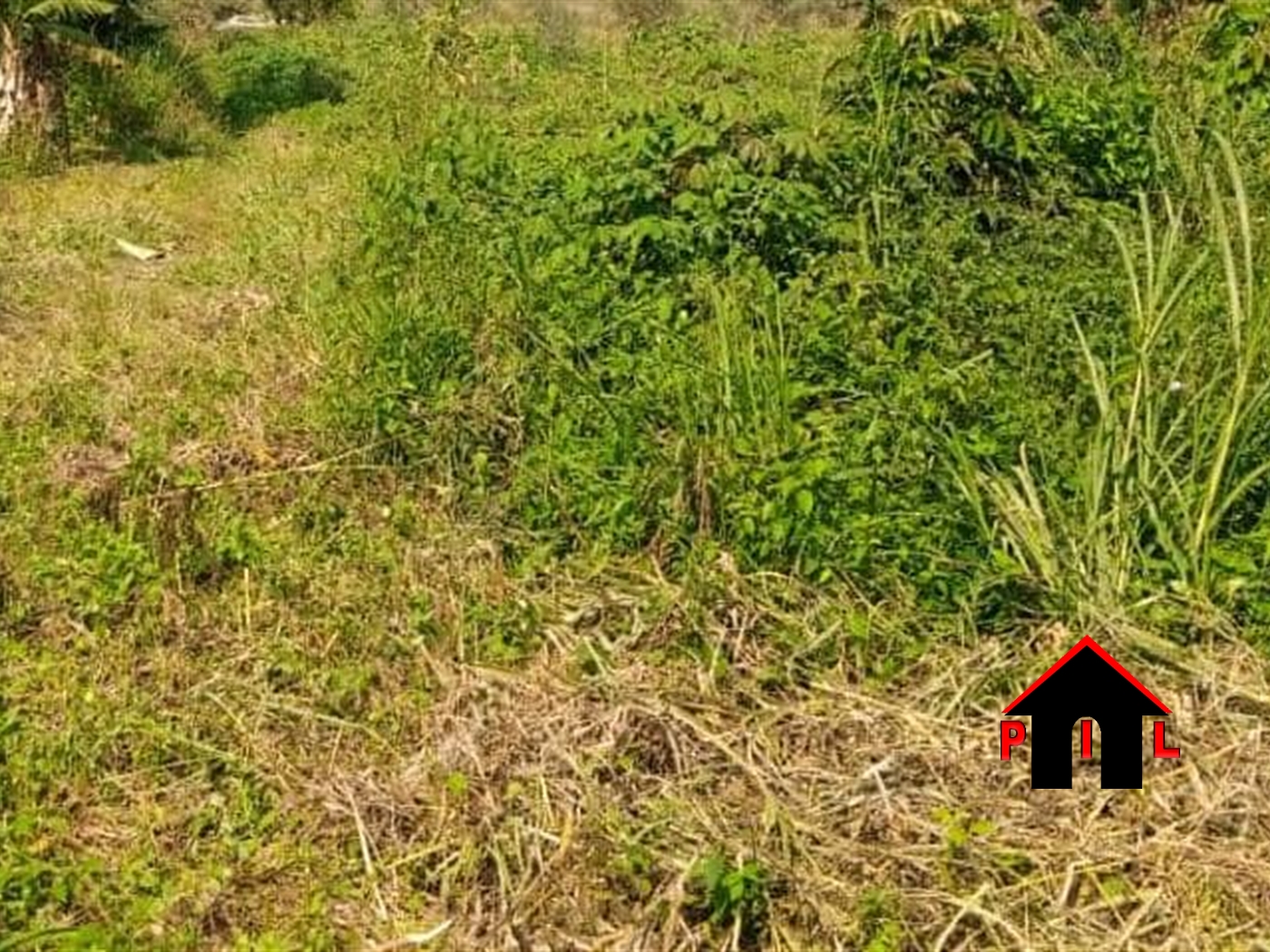 Agricultural Land for sale in Busunjju Mityana