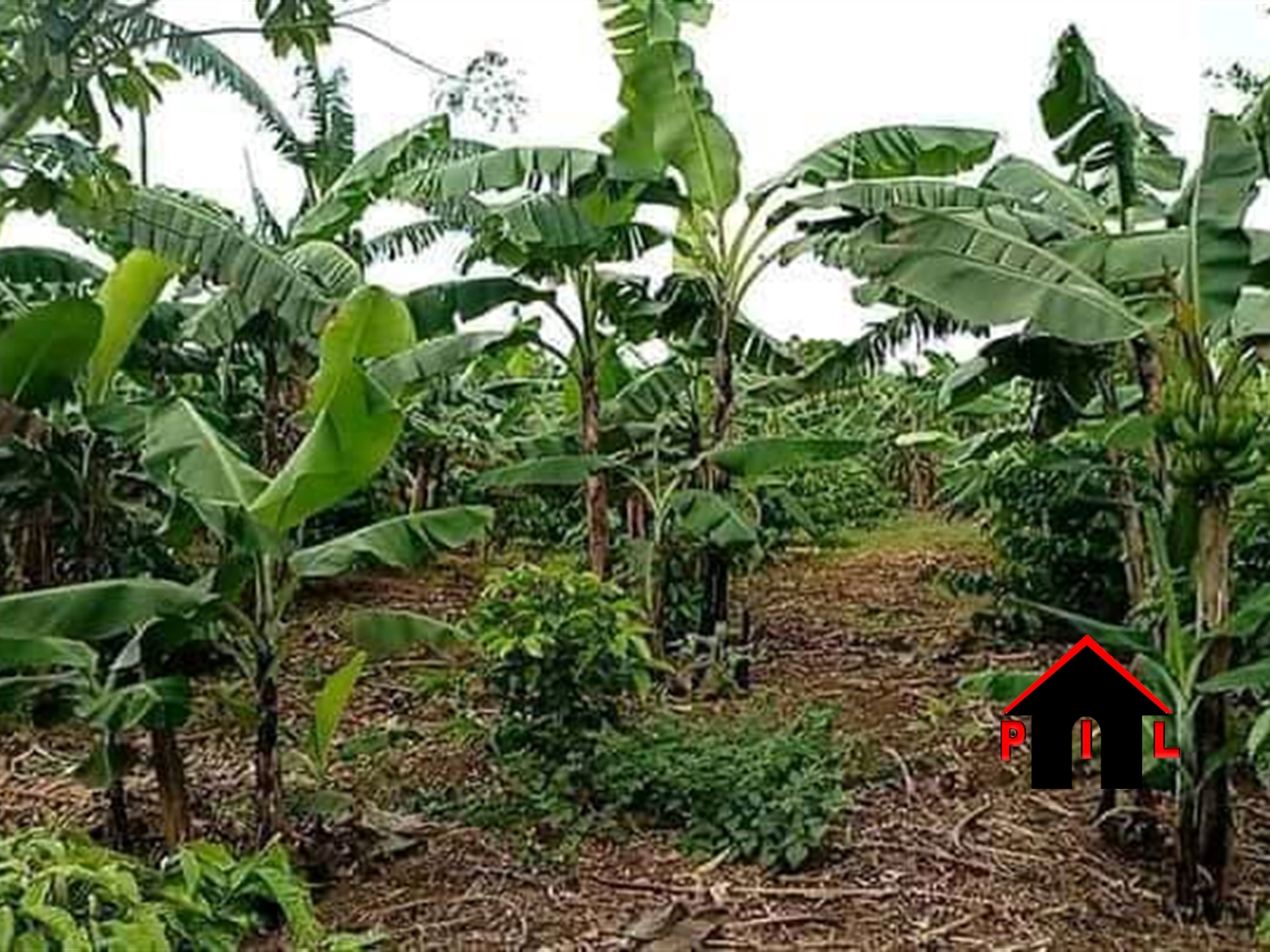 Residential Land for sale in Kabulengwa Wakiso