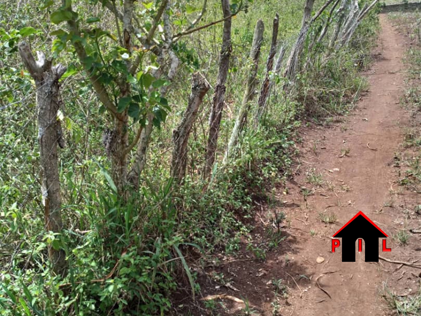 Agricultural Land for sale in Kiwanula Wakiso