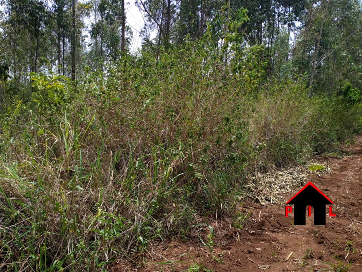 Agricultural Land for sale in Kisugu Wakiso