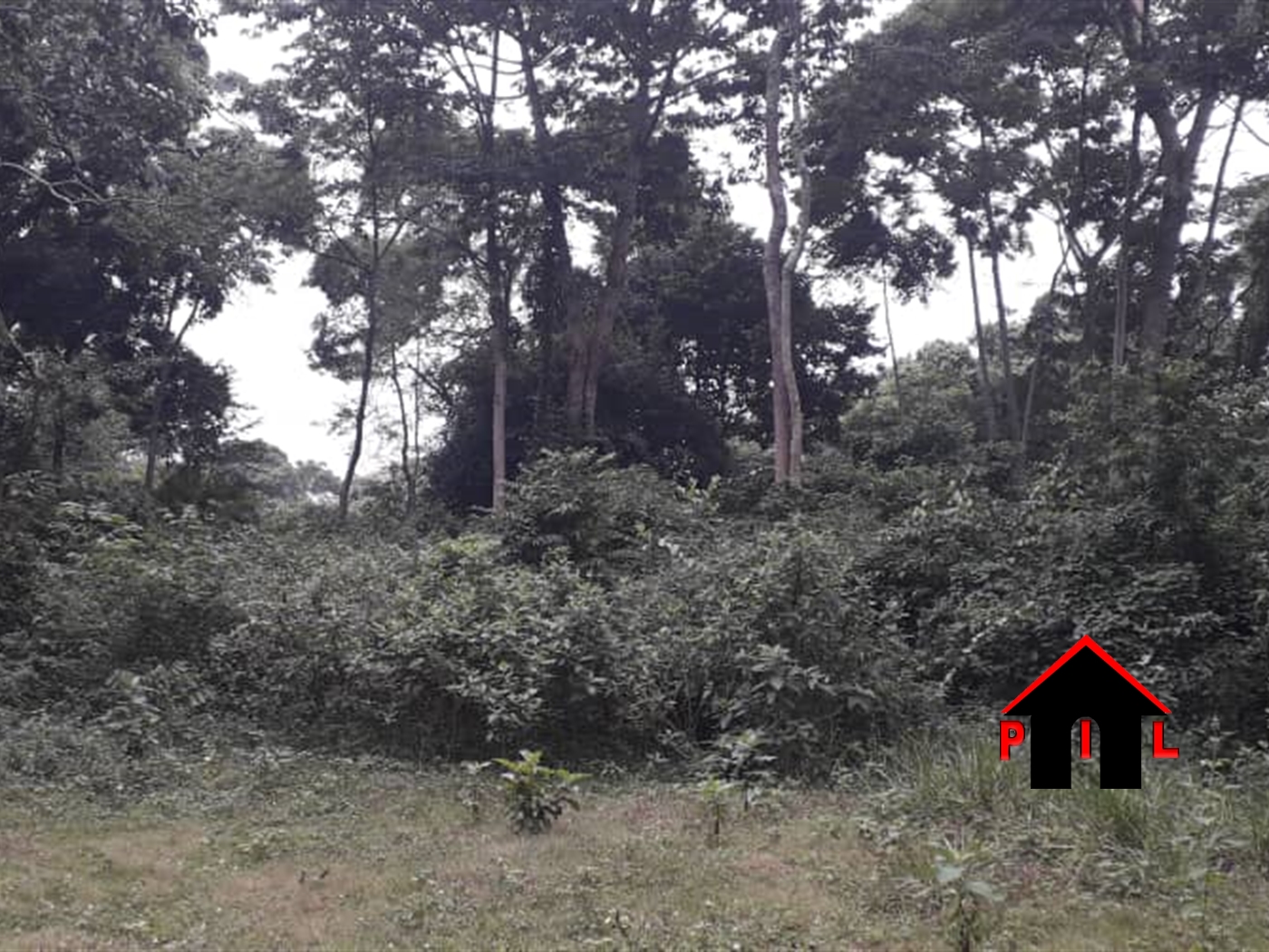 Agricultural Land for sale in Kawuku Wakiso