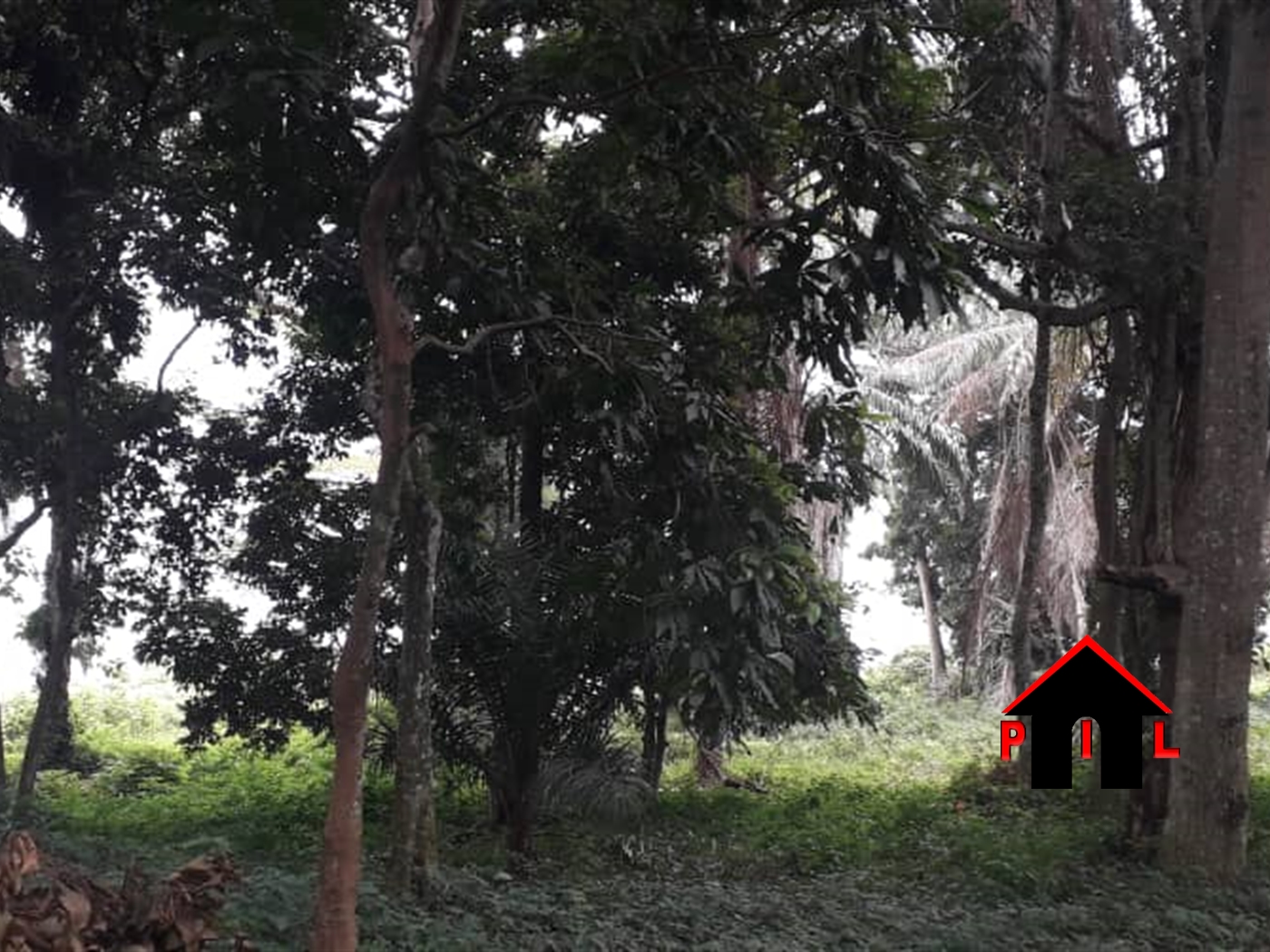 Agricultural Land for sale in Kawuku Wakiso