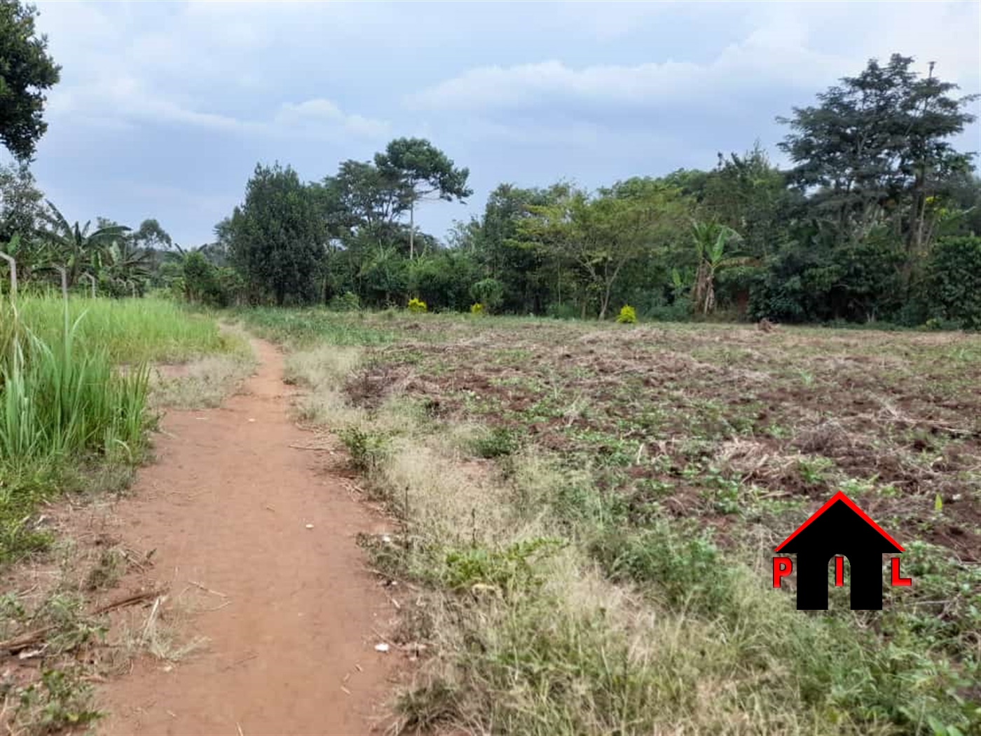Agricultural Land for sale in Janda Wakiso