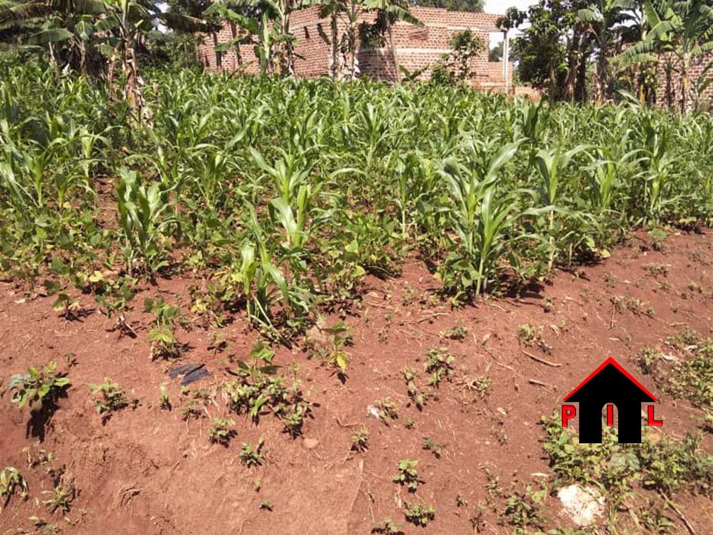 Residential Land for sale in Mbalala Mukono