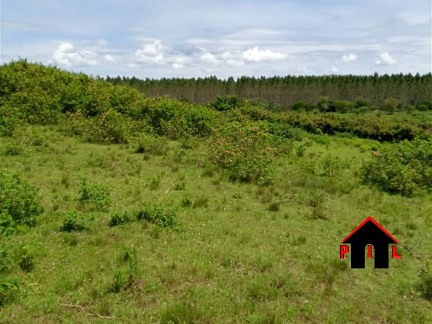 Agricultural Land for sale in Lukaya Masaka