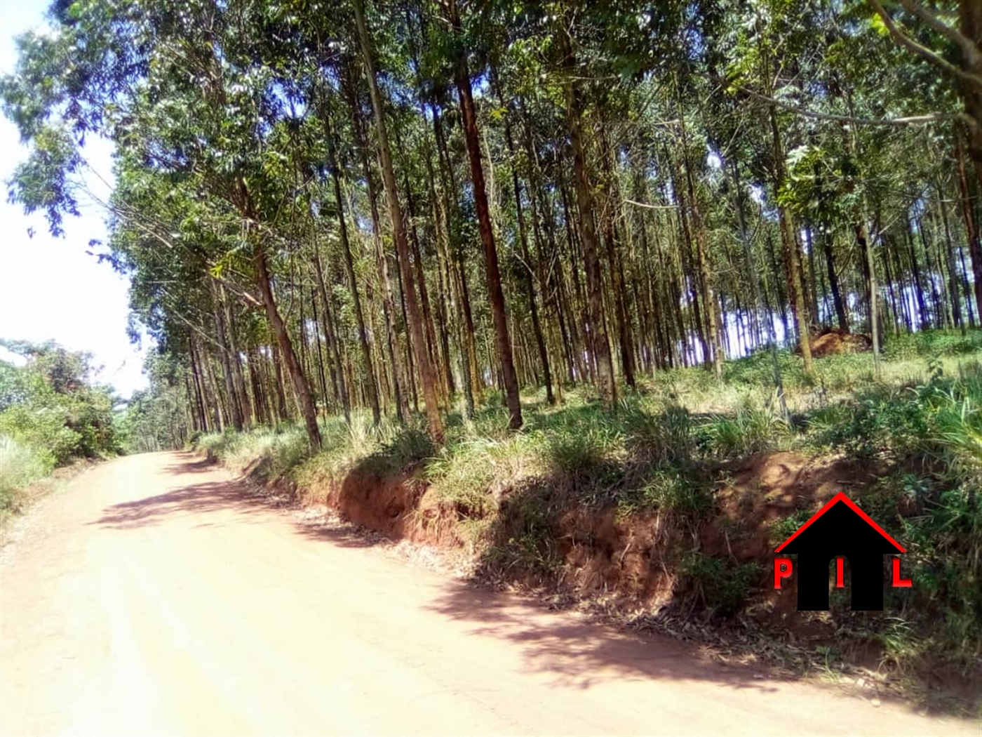 Agricultural Land for sale in Kilaga Masaka