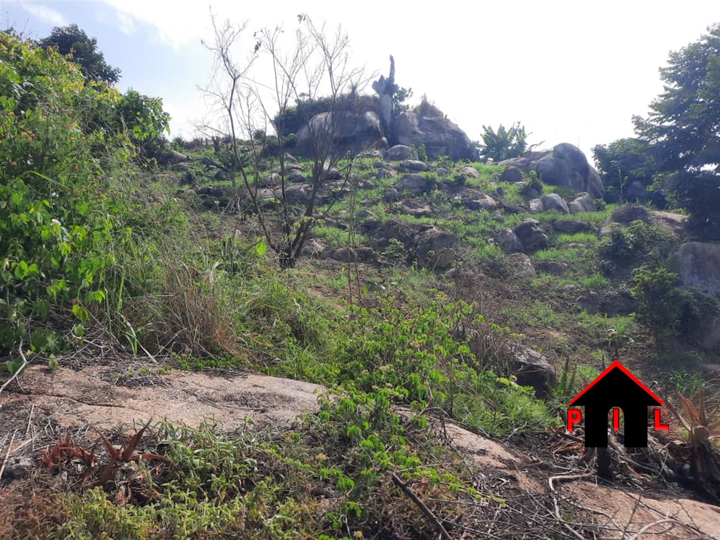 Agricultural Land for sale in Lwengo Masaka